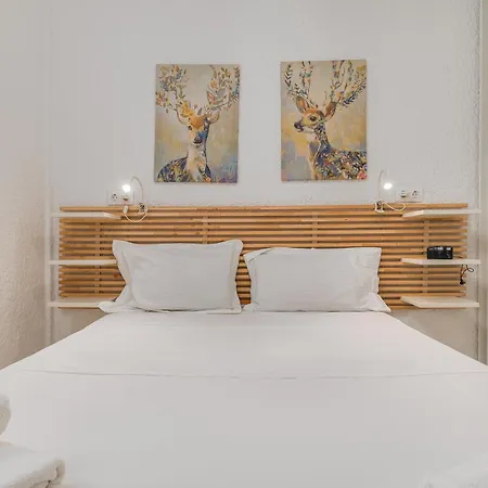 The Little Loft Pefkochori